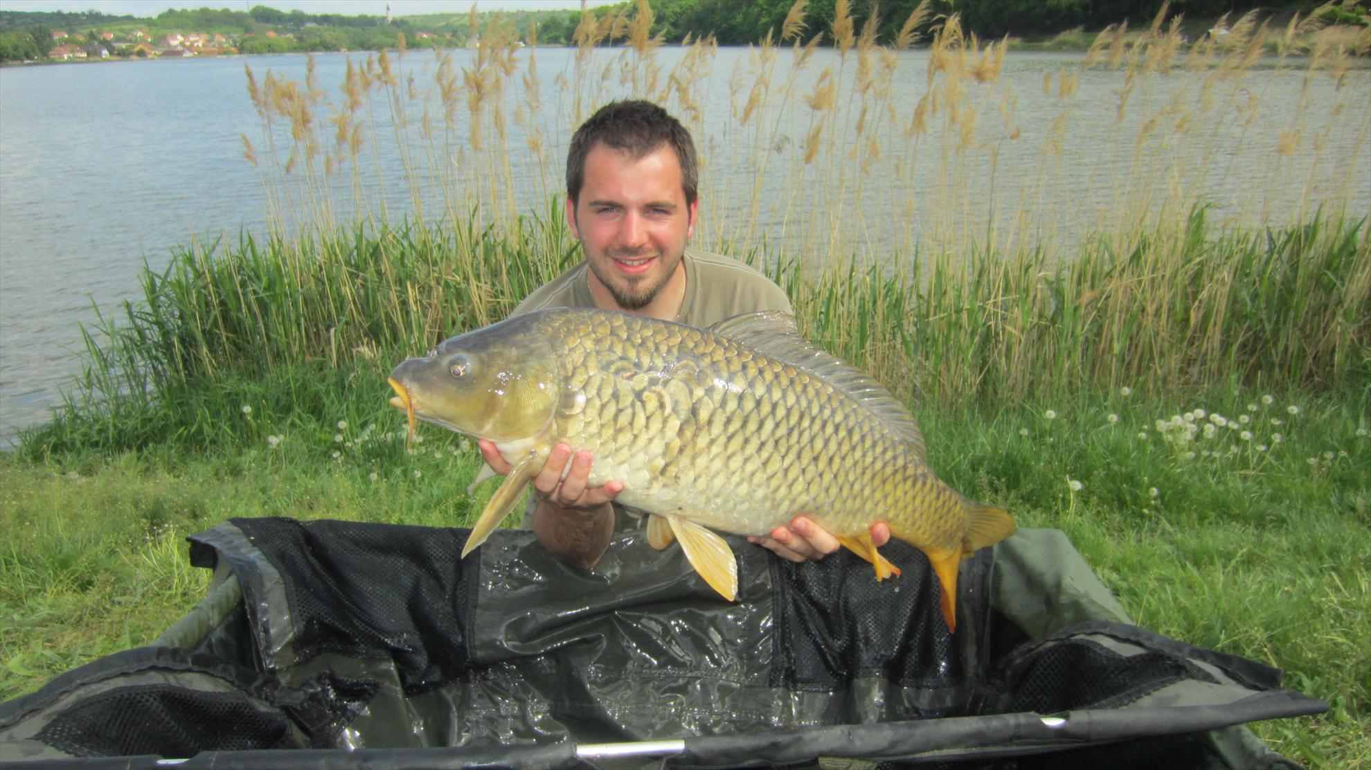 Harsany 1 - 5 mai. - img2628.JPG